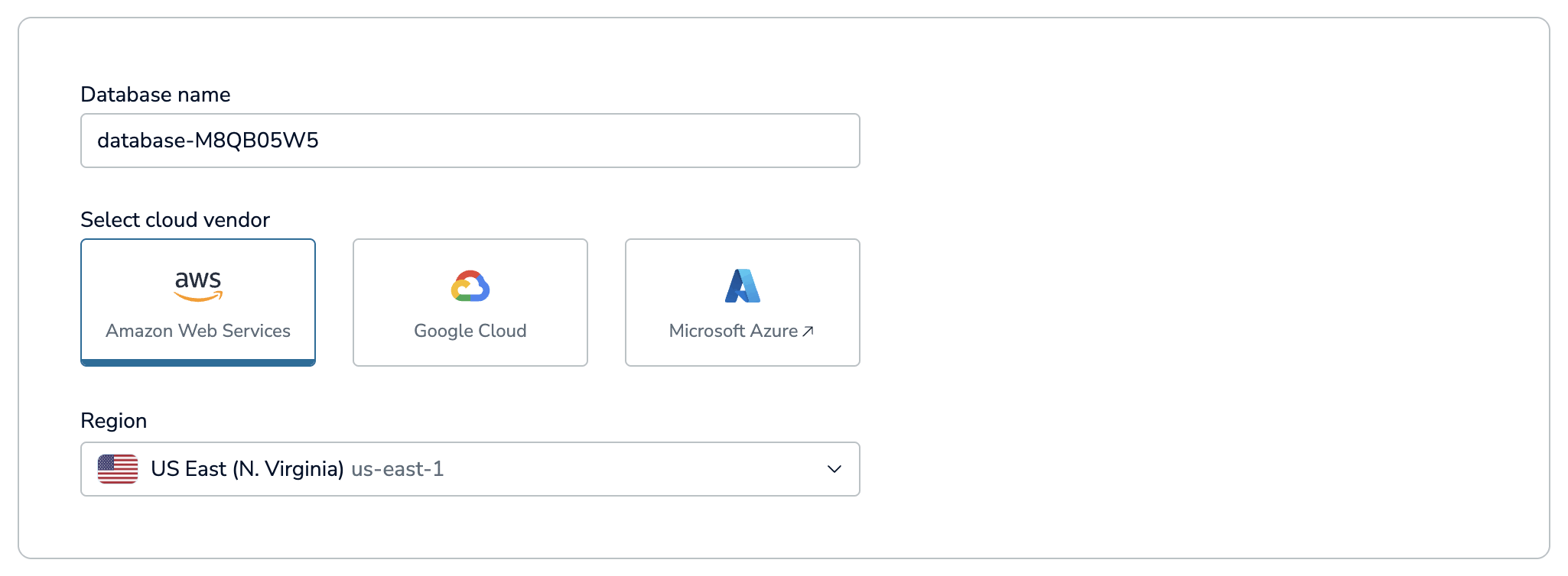 The database name, cloud vendor and region settings.